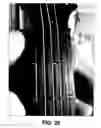 Fig. 40 - Stringed instrument
