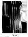 Fig. 41 - Stringed instrument