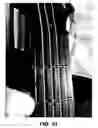 Fig. 42 - Stringed instrument