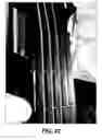 Fig. 43 - Stringed instrument
