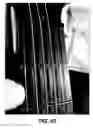 Fig. 44 - Stringed instrument