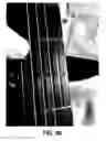 Fig. 47 - Stringed instrument