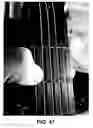 Fig. 48 - Stringed instrument