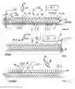 Fig. 07 - COMPOSITE PLATE AND ARMOR HAVING AT LEAST ONE OF THE COMPOSITE PLATES