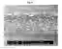 Fig. 10 - Basecoat and Associated Paperboard Structure