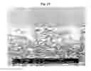 Fig. 11 - Basecoat and Associated Paperboard Structure