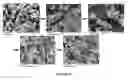 Fig. 12 - METHODS AND COMPOSITIONS USING CALCIUM CARBONATE