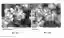 Fig. 13 - METHODS AND COMPOSITIONS USING CALCIUM CARBONATE