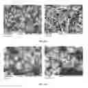 Fig. 15 - METHODS AND COMPOSITIONS USING CALCIUM CARBONATE