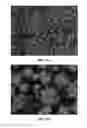Fig. 35 - METHODS AND COMPOSITIONS USING CALCIUM CARBONATE