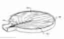 Fig. 01 - Insect feeder