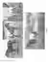 Fig. 02 - Identification of the causative mutation for leopard complex spotting and congenital stationary night blindness in equines and a method for testing for same