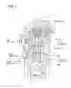 Fig. 02 - Fuel supply pump