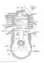 Fig. 01 - Two-cycle engine