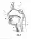 Fig. 02 - PHONATION ASSISTANCE DEVICE FOR A TRACHEOTOMY PATIENT