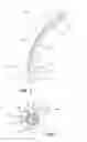 Fig. 04 - Pull-out wand