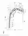 Fig. 02 - RUN-FLAT TIRE
