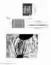 Fig. 06 - Anisotropic conductive polymer material