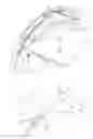 Fig. 06 - COVER APPARATUS FOR VEHICLE