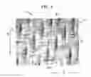 Fig. 02 - Absorbent sheet of cellulosic fibers