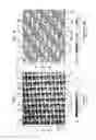 Fig. 08 - Absorbent sheet of cellulosic fibers