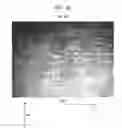 Fig. 19 - Absorbent sheet of cellulosic fibers