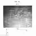 Fig. 20 - Absorbent sheet of cellulosic fibers