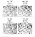 Fig. 21 - Absorbent sheet of cellulosic fibers