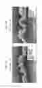 Fig. 22 - Absorbent sheet of cellulosic fibers