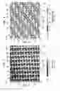 Fig. 08 - Method of making a fabric-creped absorbent cellulosic sheet