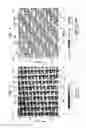 Fig. 08 - Method of making a fabric-creped absorbent cellulosic sheet