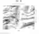 Fig. 18 - Method of making a fabric-creped absorbent cellulosic sheet