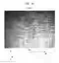 Fig. 19 - Method of making a fabric-creped absorbent cellulosic sheet