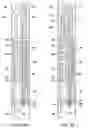 Fig. 04 - Bottom set downhole plug
