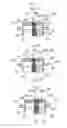 Fig. 04 - Gas diffusion electrode equipped ion exchange membrane electrolyzer