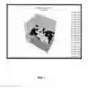 Fig. 07 - Control systems and methods for biological applications