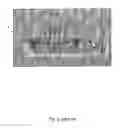 Fig. 02 - PHYTOREMEDIATION FOR DESALINATED WATER POST-PROCESSING