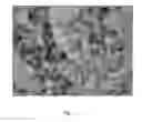 Fig. 06 - Magnetic extractants, method of making and using the same