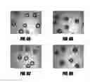 Fig. 07 - METHOD AND COMPOSITION OF A SUPERTETRAHEDRAL CATIONIC FRAMEWORK FOR ION EXCHANGE