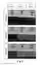 Fig. 06 - CLARIFICATION OF HYDROCARBONS AND SUSPENDED MATTER FROM AN AQUEOUS MEDIUM