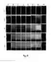 Fig. 10 - CLARIFICATION OF HYDROCARBONS AND SUSPENDED MATTER FROM AN AQUEOUS MEDIUM