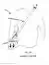 Fig. 03 - WEIGHT TRANSFER CARRYING DEVICE AND METHOD