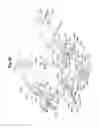 Fig. 24 - MECHANICAL METHOD AND APPARATUS FOR BILATERAL TISSUE FASTENING