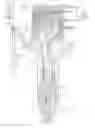 Fig. 01 - Fuel injection control device