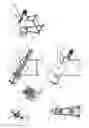 Fig. 02 - System for crushing with screw porition that increases in diameter