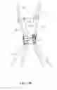 Fig. 08 - Apparatus for supporting a parachute flight controller and flight controller for a parachute