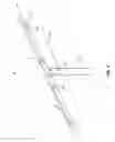 Fig. 05 - PIER CAP CLEAT