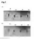 Fig. 06 - Radiation detecting device