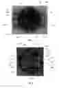 Fig. 03 - Filters for use in dosimetry