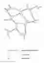 Fig. 01 - Hydrogel